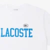 Baumwoll-Jersey-T-Shirt – Übergrößen – Groß