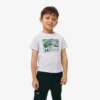 Baumwoll-T-Shirt mit Grafikprint