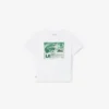 Baumwoll-T-Shirt mit Grafikprint