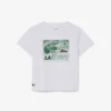 Baumwoll-T-Shirt mit Grafikprint