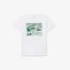 Baumwoll-T-Shirt mit Grafikprint