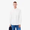Herren-Hemd aus Baumwolle in Regular Fit