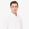 Herren-Oxfordhemd in Regular Fit