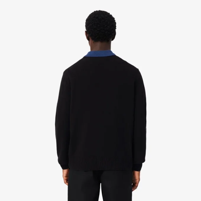 Herren-Pullover aus Wolle mit Rundhalsausschnitt