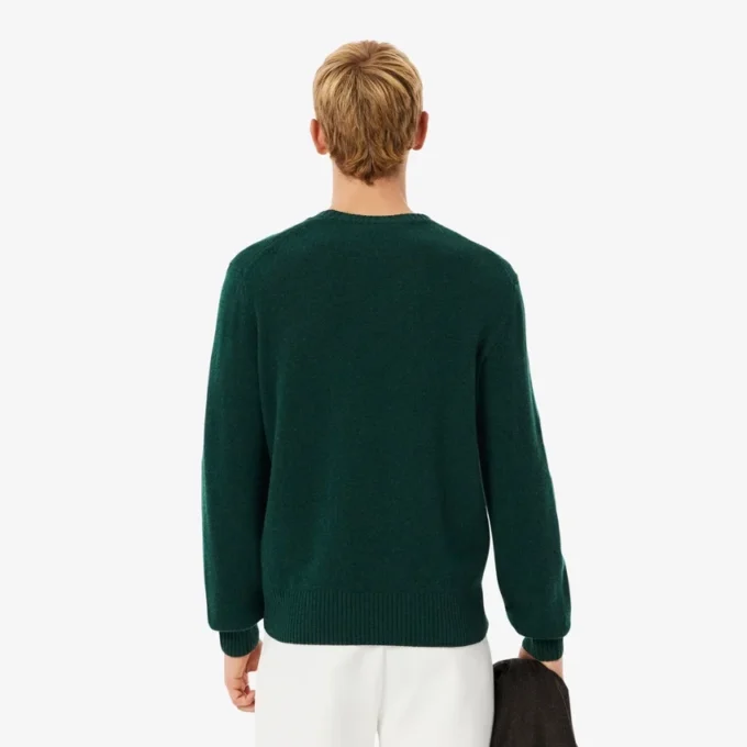 Herren-Pullover aus Wolle mit Rundhalsausschnitt