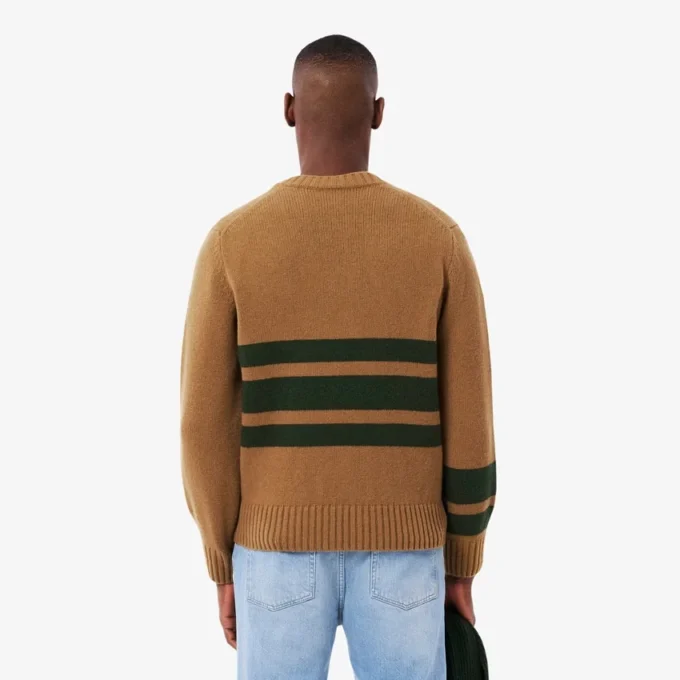 Herren-Strickpullover aus Wolle mit V-Ausschnitt