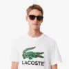 Herren-T-Shirt aus Baumwolle mit charakteristischem Print