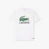 Herren-T-Shirt aus Baumwolle mit charakteristischem Print