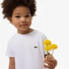 Kinder-Baumwoll-T-Shirt